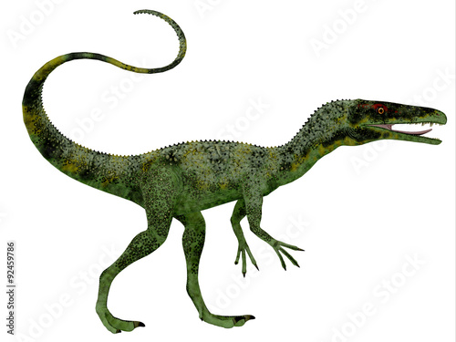 Juravenator Dinosaur Profile - Juravenator was a small carnivorous dinosaur that lived in Germany during the Jurassic Period. © Catmando
