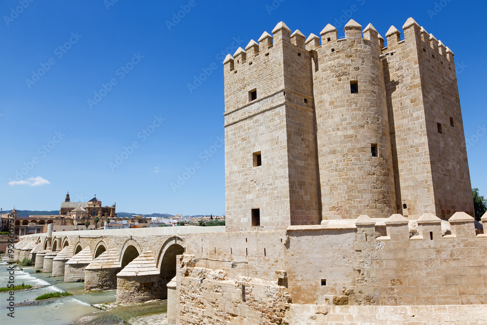 Cordoba - The Torre de Calahorra and Roman bridge 