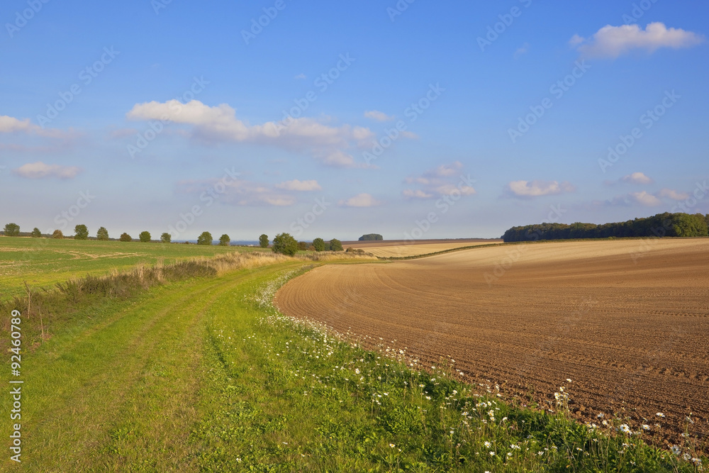 english autumn scene english autumn scene