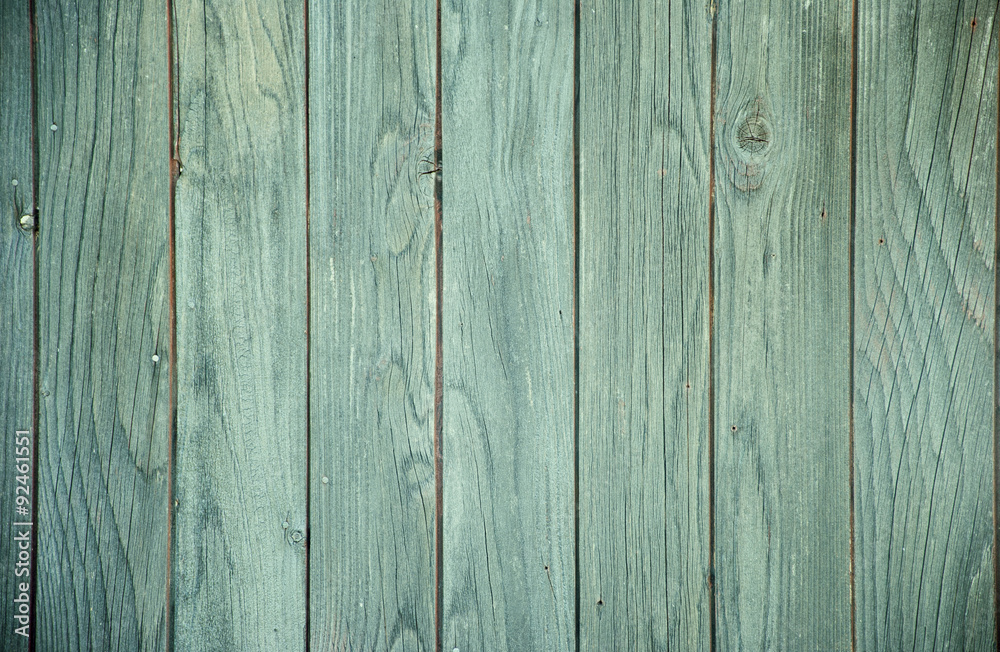 Fototapeta premium Wood texture 