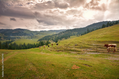 Transylvanian mountain landscape 