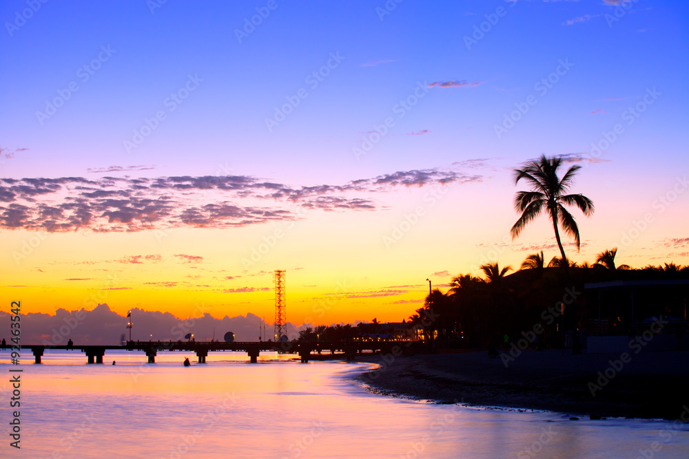 Naklejka premium Colorful sunset in Key West Florida with palm trees silhouettes