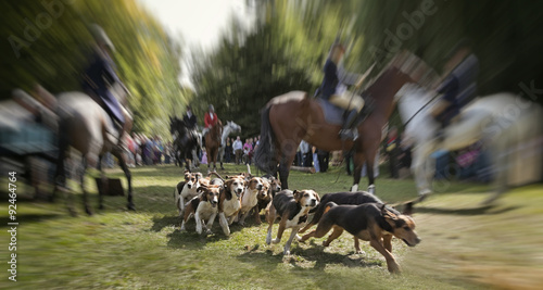 Schleppjagd dynamisch photo