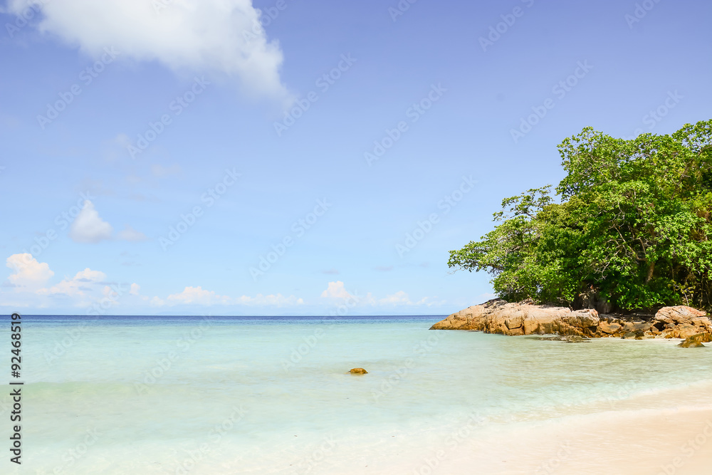 blue sky with beach sea and leaf - film filter