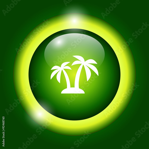 palm icon. Vector  Eps 10