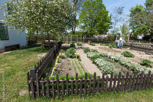 Garten mit Gemüse und Blumen
