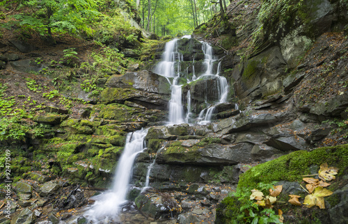 waterfall on the rock with leaves in the forest © sergejson