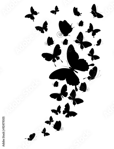 butterflies design