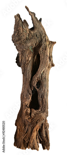 Dilapidated wooden snag isolated on a white background