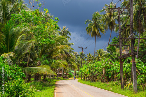 Fotografie Jungle before the tropical storm
