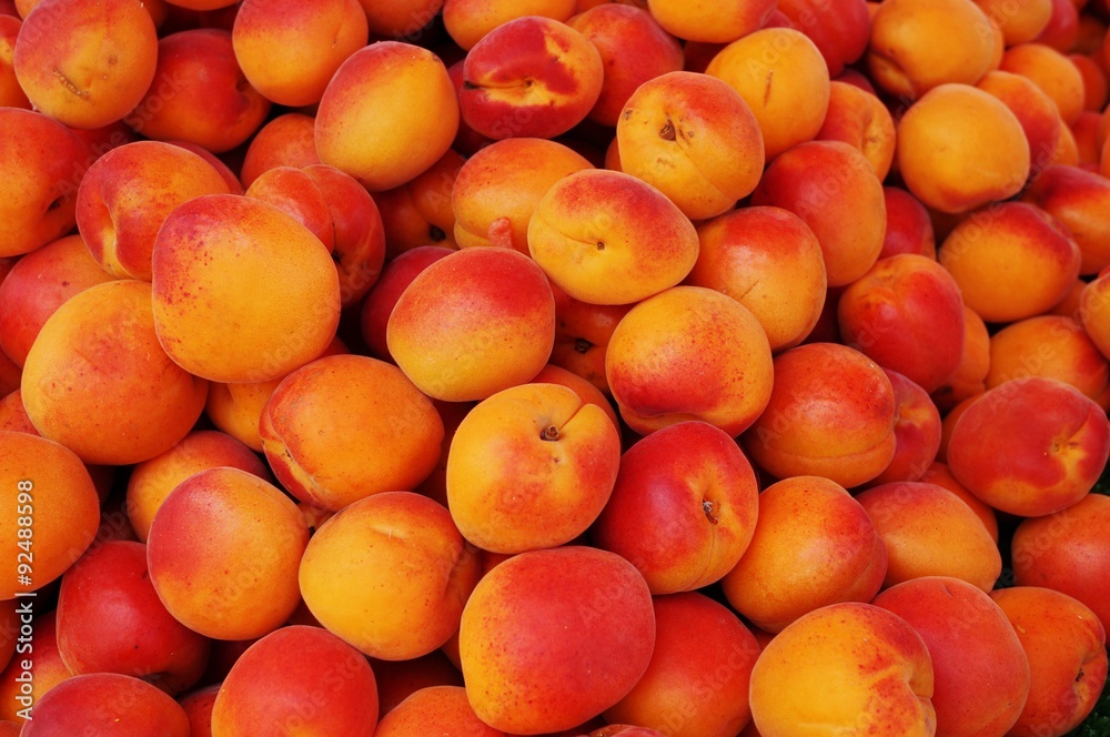Ripe apricots in bulk at a farmers market Ripe apricots in bulk at a farmers market