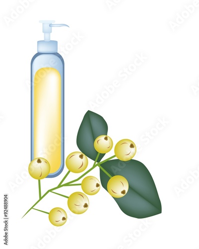 Bunch of Yellow Aglaia Odorata Flower on White Background photo