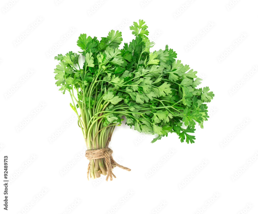 Fresh Green parsley on white background Fresh Green parsley on white background