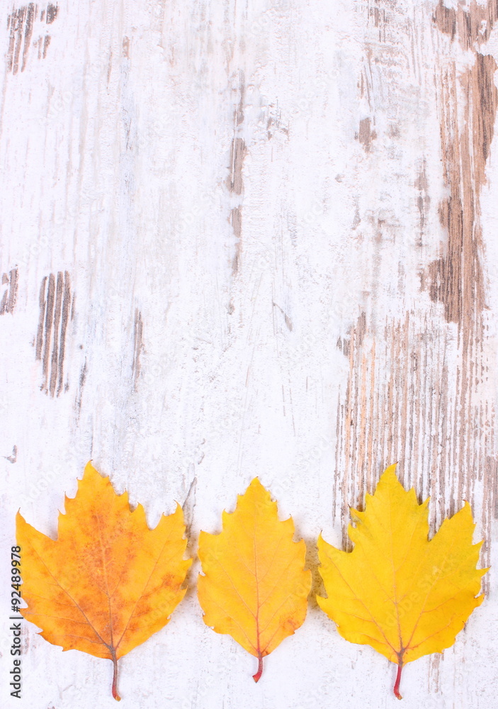 Obraz premium Yellow autumnal leaves with copy space for text on wooden background