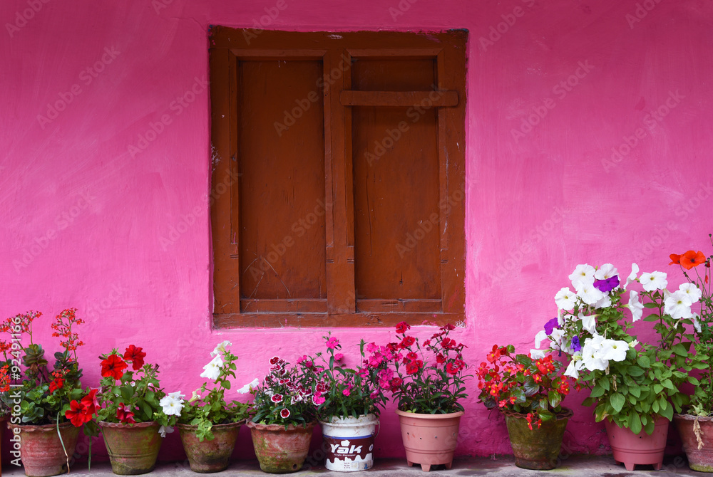 Fototapeta premium closed up the wood windows with pink wall, in village Nepal