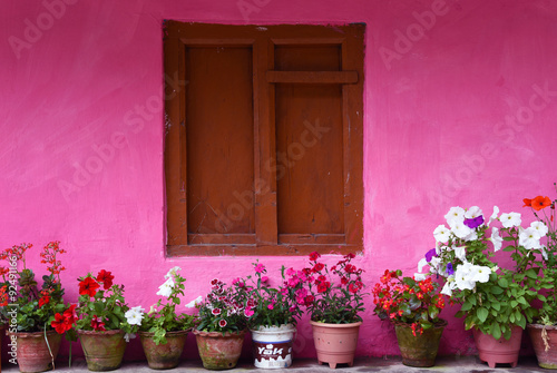 closed up the wood windows with pink wall  in village Nepal