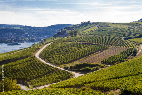 Mosel Vineyards region in autumn in Germany