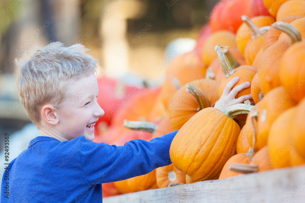 Fototapeta premium kid at pumpkin patch