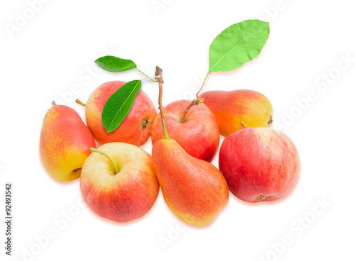 Several European pears and red apple on a light background