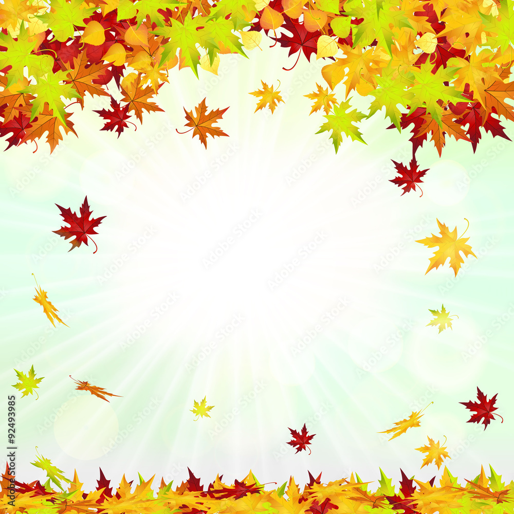 Autumn Frame With Falling Leaves 