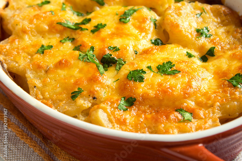 Potato gratin photo
