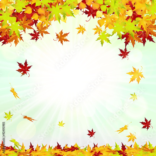 Autumn Frame With Falling Leaves 
