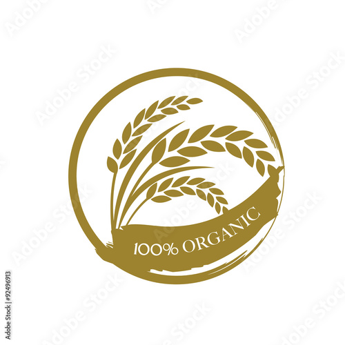 rice vector