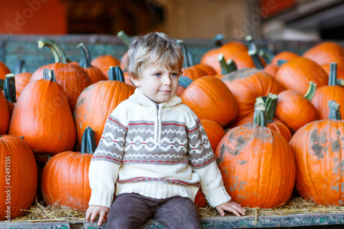 Little kid sitting with lots of pumpkins on patch farm