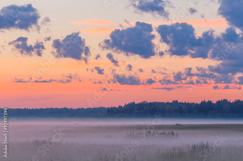 Fog in the fields landscape pink sky dusk early mornibg summer © idea_studio