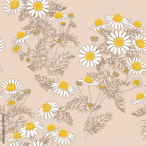 Chamomile Pattern on  Beige.