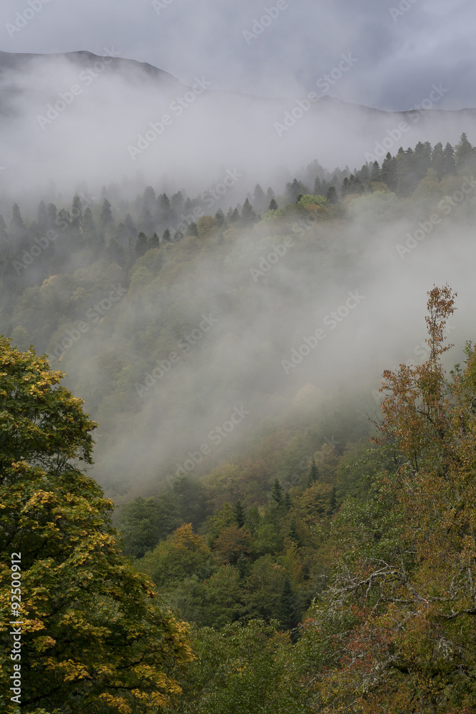 Autumn in the Caucasus. Sochi Region. The surroundings of Krasnaya Polyana.