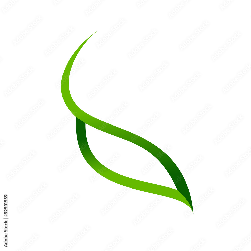 Leaf Eye Leaf Eye