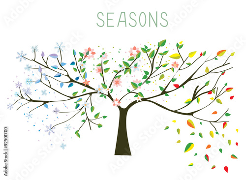 Tree during four seasons concept