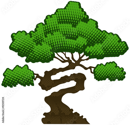 Bonsai tree, vector illustration.