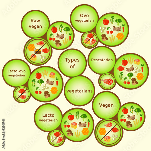 Vegetarian types infographic. Variety diets. Raw vegan, ovo vegetarian, lacto-ovo vegetarian, pescatarian (pescetarian), lacto vegetarian, vegan. Vector color illustration