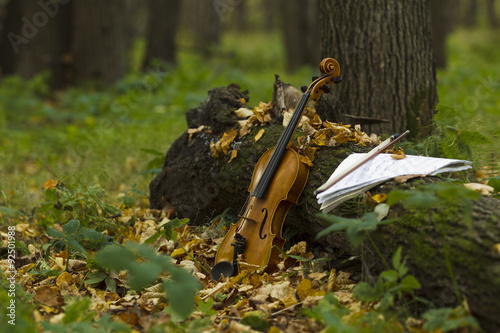 Violin in autumn forest