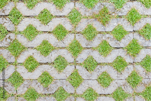 stone block walk path with green grass