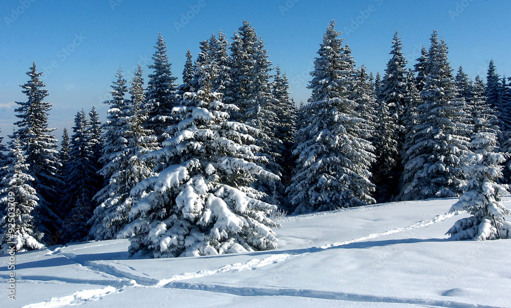 tourists skiing Ski resort Borovets, Bulgaria.Hotel complex and panorama of winter mountains tourists skiing Ski resort Borovets, Bulgaria.Hotel complex and panorama of winter mountains