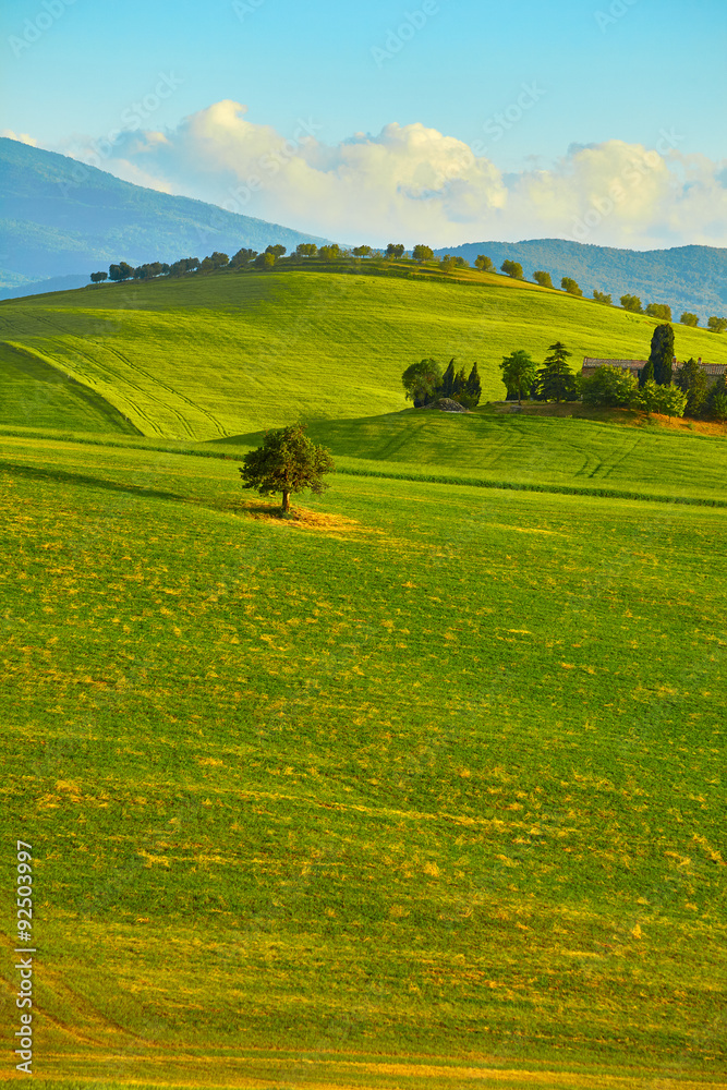 Tuscany, rural sunset landscape. Countryside farm, cypresses tre