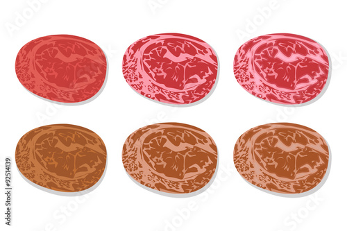 Set of detailed slide fresh ham and grilled salami