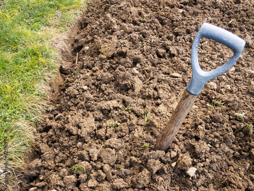 Gardening reality - poor soil and broken fork.