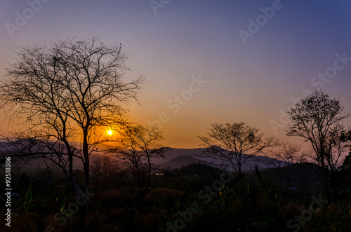 The sunset over the mountains  with trees silhouetted against the sky