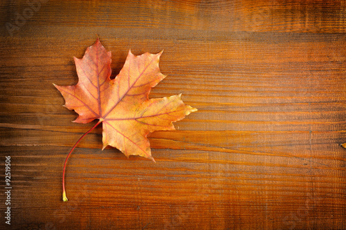 Autumn leaf over wooden background. With copy space