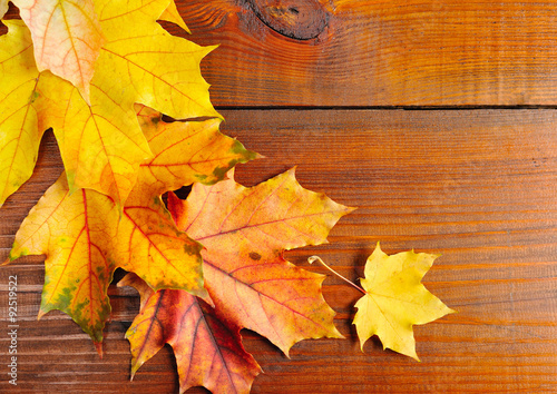 Autumn leaves over old wooden background. With copy space