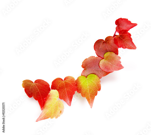 Buntes Herbstlaub