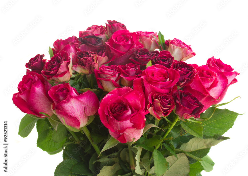 Fototapeta premium Border of red and pink roses 