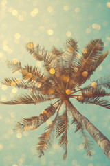 Wandcirkels Palmboom Palmboom met feestelijke bokeh lichteffecten  © nevodka.com