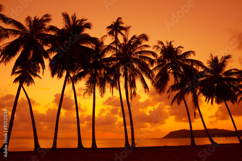 Warm tropical sunset on ocean shore with palm trees silhouette