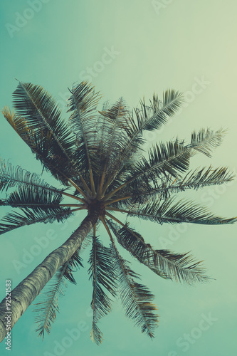 Retro nostalgic stylized palm tree with sky on background