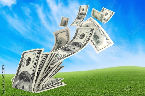 Tableau sur toile Currency Wealth.
